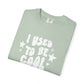 I Used to Be Cool T-Shirt – Funny Retro Adult Humor Tee
